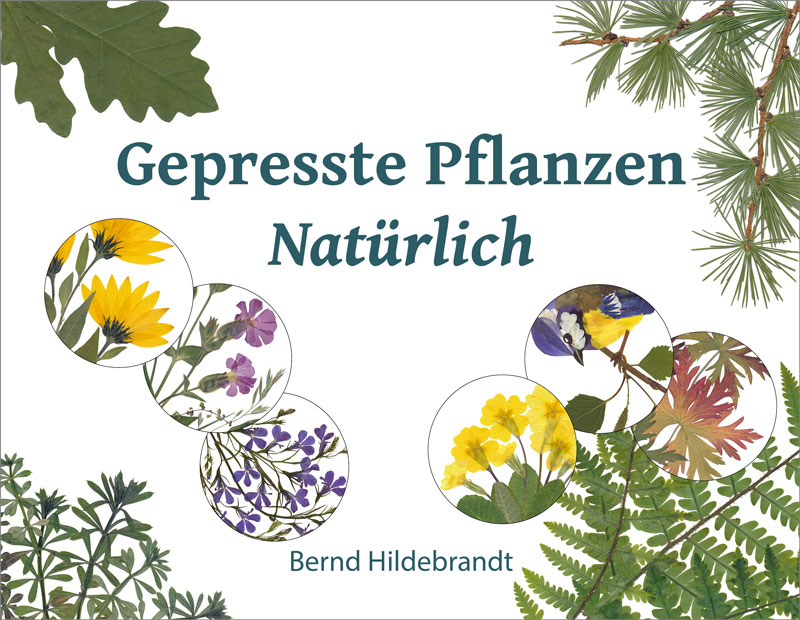 Book cover of German edition